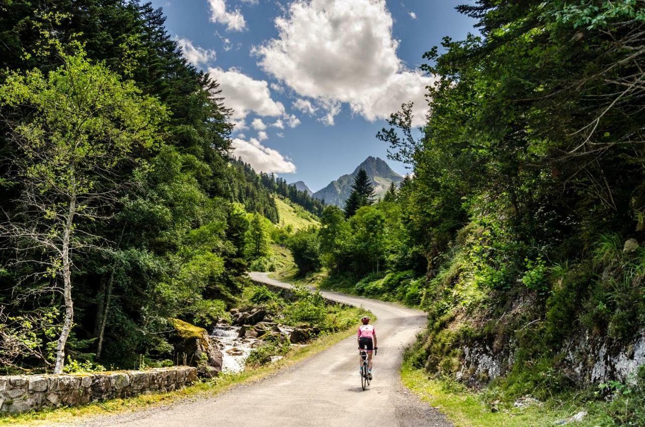 Pyrenees Cycling Lodge Saint-Savin  Zewnętrze zdjęcie